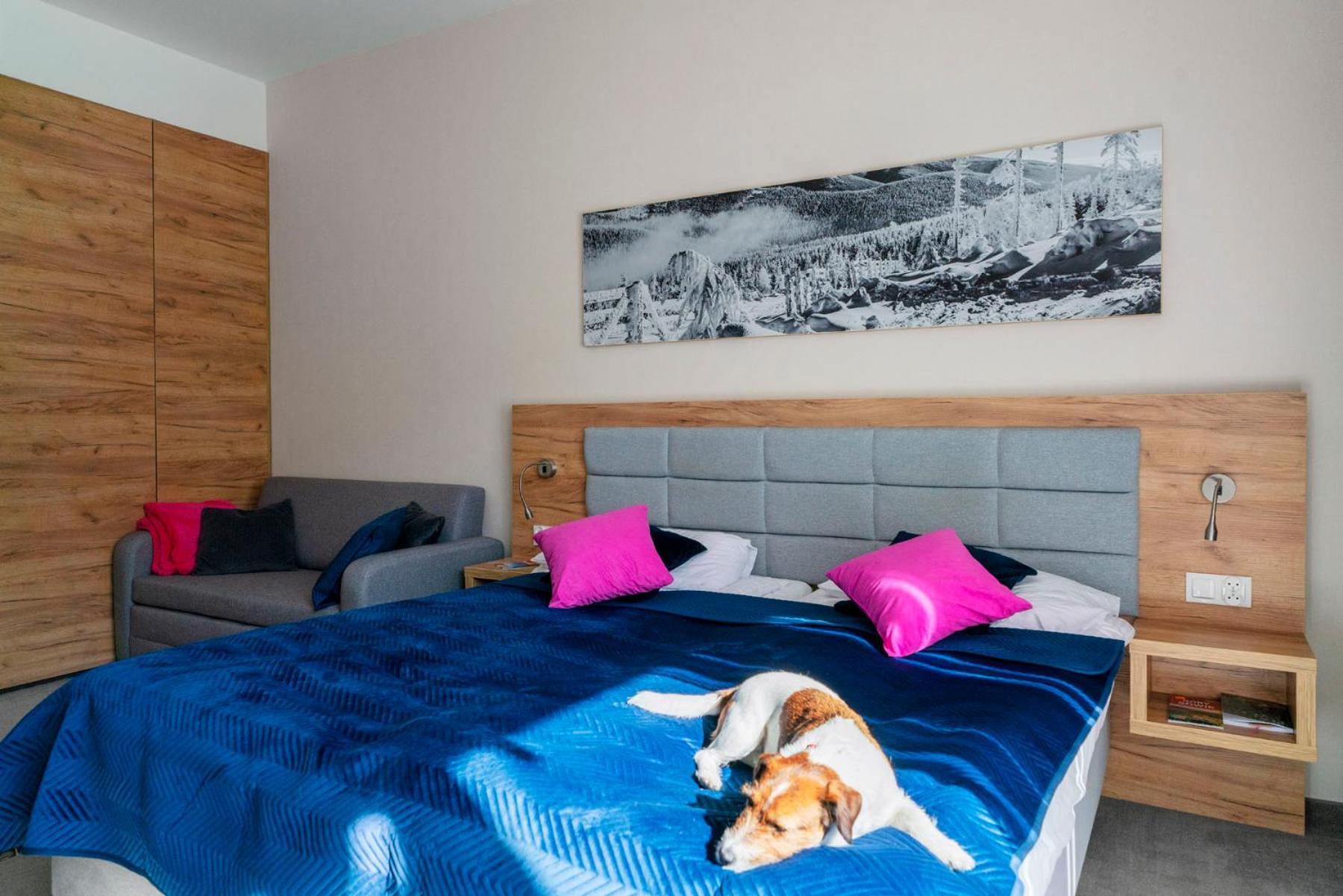 Apartament Folgaria - Aparthotel Panorama Czarna Gora Sienna  Eksteriør billede